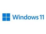 Microsoft Windows 11 Pro - Box pack
