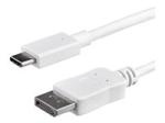 StarTech StarTech.com USB C vers DisplayPort