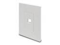 Eaton Tripp Lite Series Single-Gang 1-Port Wall Plate Keystone Cat5/Cat6 USB HDMI Dport RCA