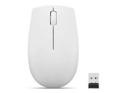 Lenovo 300 Wireless Compact