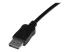 StarTech 50 ft DisplayPort Cable with Latches - Close up