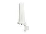 Hewlett Packard Enterprise HPE Aruba Networking eANT-2x2-56O-10