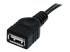 StarTech 3 ft Black USB 2.0 Extension Cable A to A - Close up