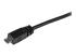StarTech 6ft Micro USB Cable - Close up