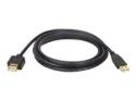 Eaton Tripp Lite Series 6ft USB 2.0 Hi-Speed Extension Cable Shielded A Male / Female 6'