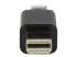 Startech Mini DisplayPort to HDMI converter cable - Close up