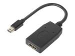 Lenovo Videoadapter
