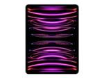 Apple 12.9-inch iPad Pro Wi-Fi + Cellular