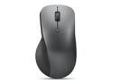 Lenovo Professional - Mouse