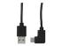 StarTech USB to USB C Cable - Front