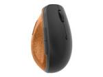 Lenovo Go - souris - 2.4 GHz