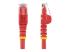 N6PATC50CMRD - StarTech.com 50cm CAT6 Ethernet Cable, 10 Gigabit Snagless RJ45 650MHz 100W PoE Patch Cord, CAT 6 10GbE UTP Network Cable w/Strain Relief, Red, Wiring is UL Certified/TIA - Flera vinklar