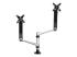 Startech Desk Mount Dual Monitor Arm - Front