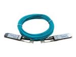 Hewlett Packard Enterprise HPE X2A0 - Network cable