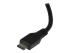 Close up