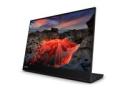 Lenovo ThinkVision M14t Gen 2