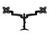 Startech Desk Mount Dual Monitor Arm - Front