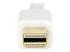 Startech Mini DisplayPort to HDMI Converter Cable - Close up