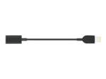 Lenovo USB-C to Slim-tip Cable Adapter