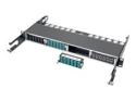 Eaton Tripp Lite Series 10GbE High Density Pass-Through Cassette 12 LC Duplex Connection