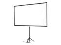 Epson ELPSC21 - Projection screen with tripod