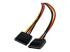 StarTech.com 12in LP4 to 2x SATA Power Y Cable Adapter - Höger vinkel