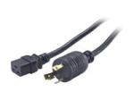 APC Power cable - NEMA L6-30 (M) to IEC 60320 C19