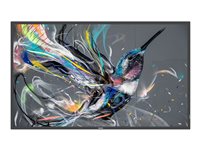 Philips 75BDL3650Q - 75" Diagonal klass (74.5" visbar)