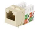 Black Box GigaTrue2 CAT6 Jack