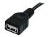 StarTech 10 ft Black USB 2.0 Extension Cable A to A - Close up