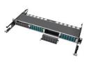 Eaton Tripp Lite Series 40Gb High Density Pass-Through Cassette 12 12-Fiber MTP/MPO