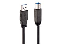 Lindy - USB-kabel - USB Type A (han) til USB Type B (han)