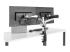 Startech Desk Mount Dual Monitor Arm - Back