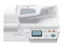 Epson Network Scan Module