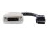 StarTech.com DisplayPort to DVI Adapter - Front