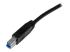 StarTech 2m 6 ft Certified SuperSpeed USB 3.0 A to B Cable Cord - Close up